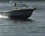 Without Fins